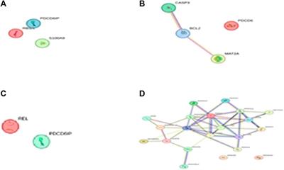Tracing the pathways and mechanisms involved in medicinal uses of flaxseed with computational methods and bioinformatics tools